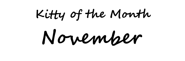 KOM-text-november